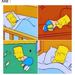 Meet your Posher, Mya